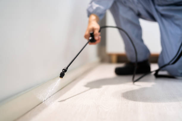 Licensed Termite Control service in Camden, OH - Nex Pest Control