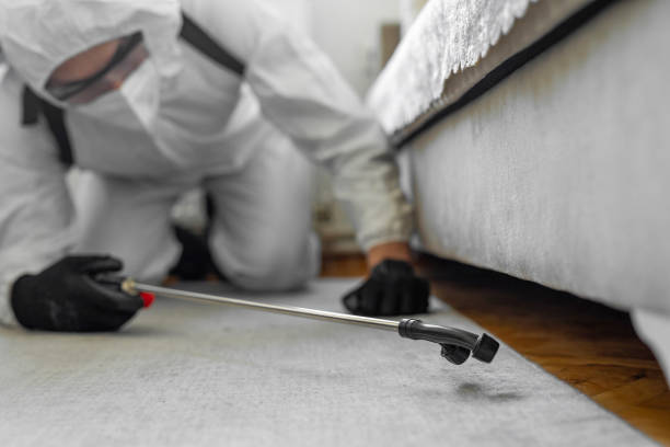 Professional Termite Control technician working in Camden, OH