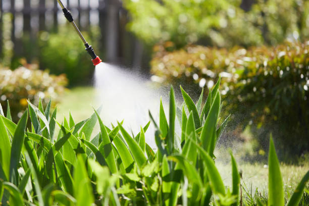 24/7 Emergency Termite Control experts in Camden, OH
