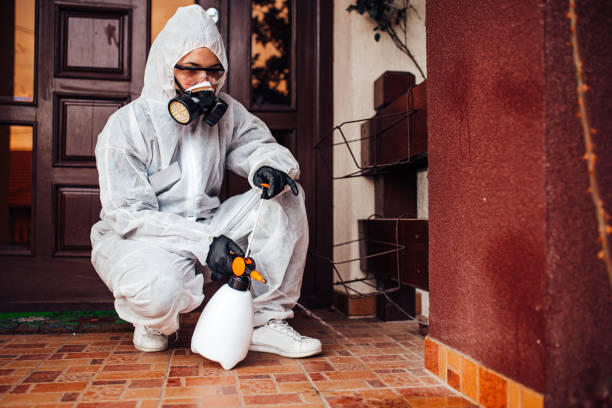 Reliable Termite Control contractor in Camden, OH by Nex Pest Control
