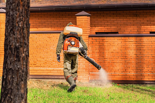 Top rated local Termite Control specialists in Camden, OH